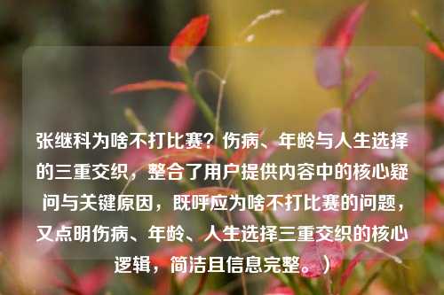 张继科为啥不打比赛?伤病、年龄与人生选择的三重交织,整合了用户提供内容中的核心疑问与关键原因,既呼应为啥不打比赛的问题,又点明伤病、年龄、人生选择三重交织的核心逻辑,简洁且信息完整。)