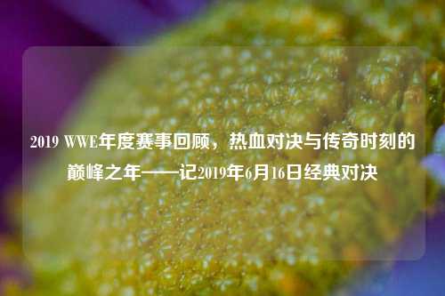 2019 WWE年度赛事回顾,热血对决与传奇时刻的巅峰之年——记2019年6月16日经典对决