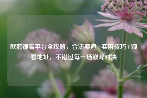 欧冠观看平台全攻略,合法渠道+实用技巧+观看地址,不错过每一场巅峰对决