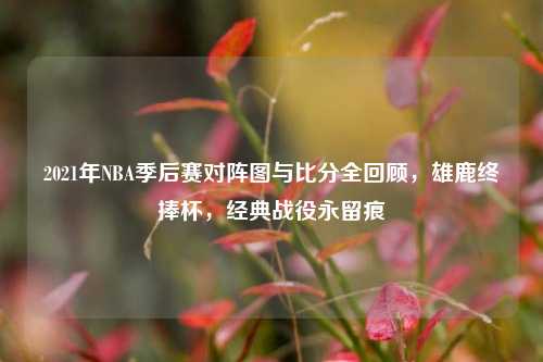 2021年NBA季后赛对阵图与比分全回顾,雄鹿终捧杯,经典战役永留痕