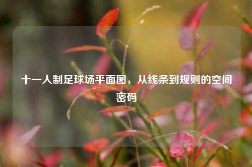 十一人制足球场平面图,从线条到规则的空间密码