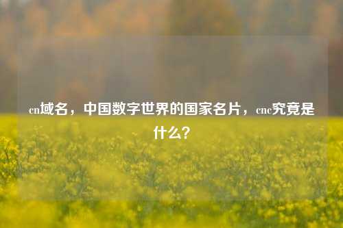 cn域名,中国数字世界的国家名片,cnc究竟是什么?