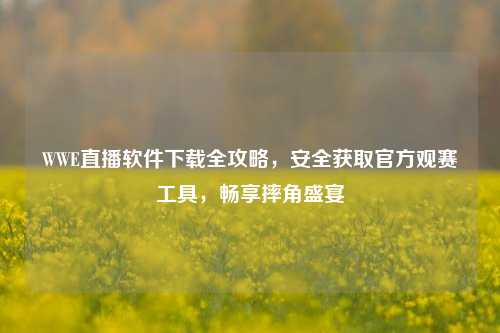 WWE直播软件下载全攻略,安全获取官方观赛工具,畅享摔角盛宴
