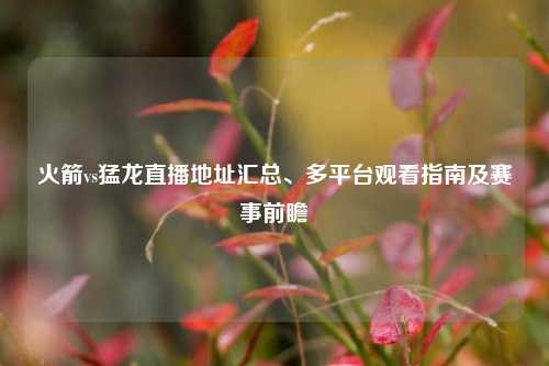 火箭vs猛龙直播地址汇总、多平台观看指南及赛事前瞻