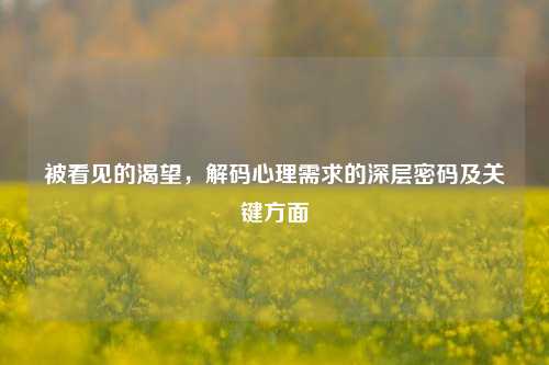 被看见的渴望,解码心理需求的深层密码及关键方面