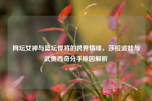 网坛女神与篮坛悍将的跨界情缘,莎拉波娃与武贾西奇分手原因解析