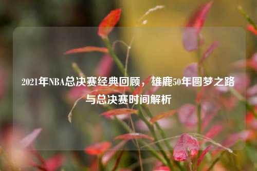 2021年NBA总决赛经典回顾,雄鹿50年圆梦之路与总决赛时间解析