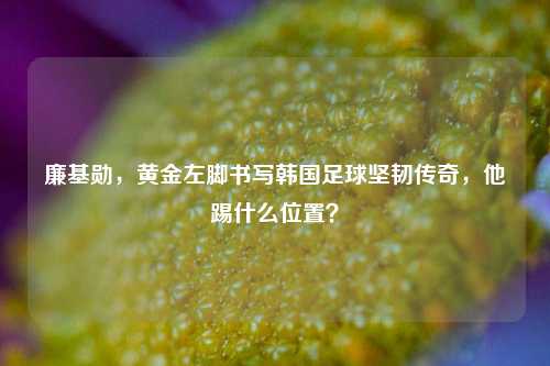 廉基勋,黄金左脚书写韩国足球坚韧传奇,他踢什么位置?