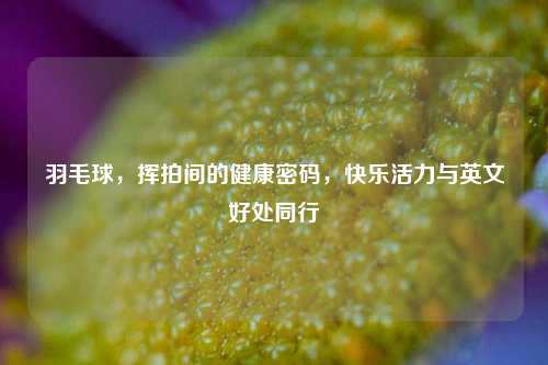 羽毛球,挥拍间的健康密码,快乐活力与英文好处同行