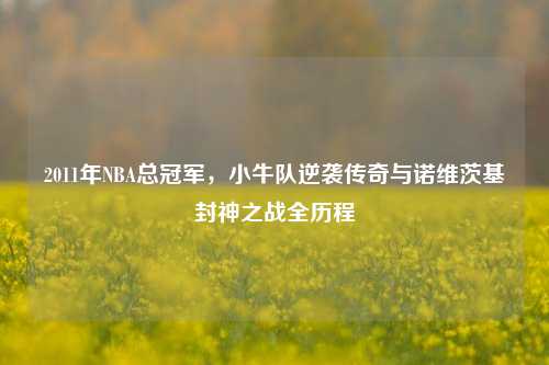 2011年NBA总冠军,小牛队逆袭传奇与诺维茨基封神之战全历程