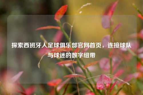 探索西班牙人足球俱乐部官网首页,连接球队与球迷的数字纽带