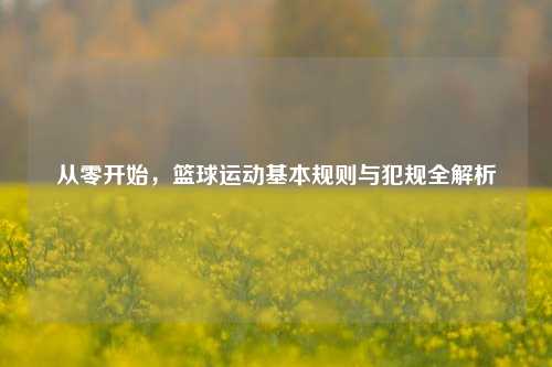 从零开始,篮球运动基本规则与犯规全解析
