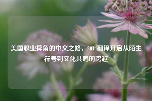 美国职业摔角的中文之路,2014翻译开启从陌生符号到文化共鸣的跨越