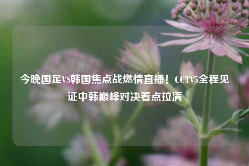 今晚国足VS韩国焦点战燃情直播!CCTV5全程见证中韩巅峰对决看点拉满