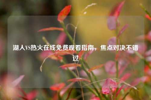 湖人VS热火在线免费观看指南,焦点对决不错过