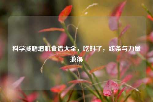 科学减脂增肌食谱大全,吃对了,线条与力量兼得