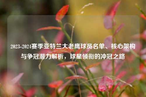 2023-2024赛季亚特兰大老鹰球员名单、核心架构与争冠潜力解析,球星领衔的冲冠之路