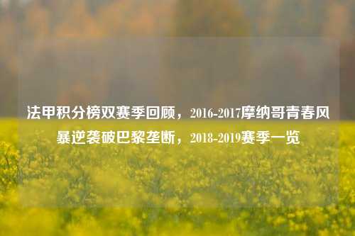 法甲积分榜双赛季回顾,2016-2017摩纳哥青春风暴逆袭破巴黎垄断,2018-2019赛季一览
