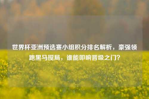 世界杯亚洲预选赛小组积分排名解析,豪强领跑黑马搅局,谁能叩响晋级之门?
