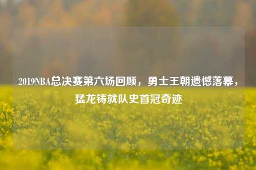 2019NBA总决赛第六场回顾,勇士王朝遗憾落幕,猛龙铸就队史首冠奇迹