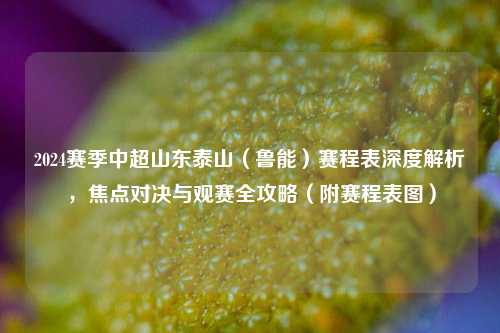 2024赛季中超山东泰山(鲁能)赛程表深度解析,焦点对决与观赛全攻略(附赛程表图)