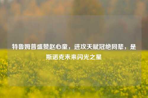 特鲁姆普盛赞赵心童,进攻天赋冠绝同辈,是斯诺克未来闪光之星