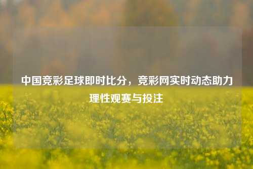 中国竞彩足球即时比分,竞彩网实时动态助力理性观赛与投注