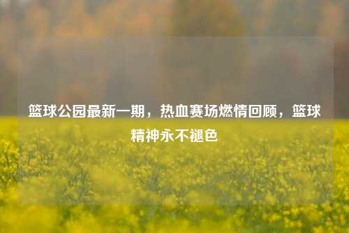 篮球公园最新一期,热血赛场燃情回顾,篮球精神永不褪色