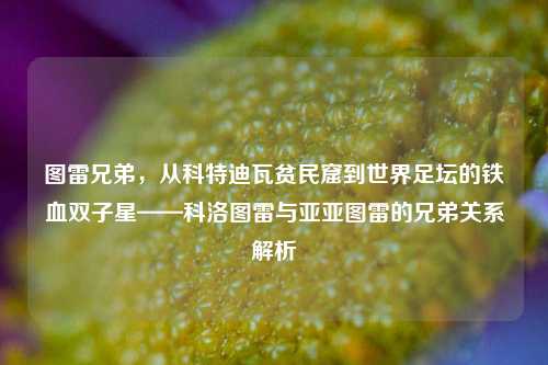 图雷兄弟,从科特迪瓦贫民窟到世界足坛的铁血双子星——科洛图雷与亚亚图雷的兄弟关系解析