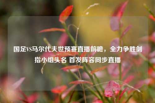 国足VS马尔代夫世预赛直播前瞻,全力争胜剑指小组头名 首发阵容同步直播