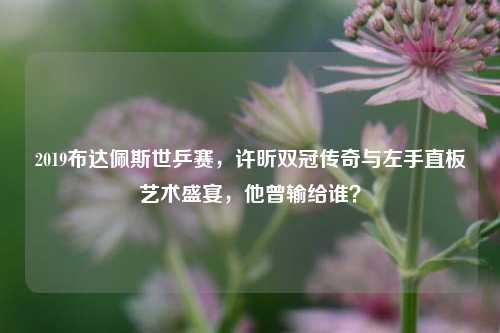 2019布达佩斯世乒赛,许昕双冠传奇与左手直板艺术盛宴,他曾输给谁?