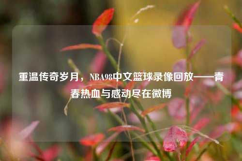 重温传奇岁月,NBA98中文篮球录像回放——青春热血与感动尽在微博