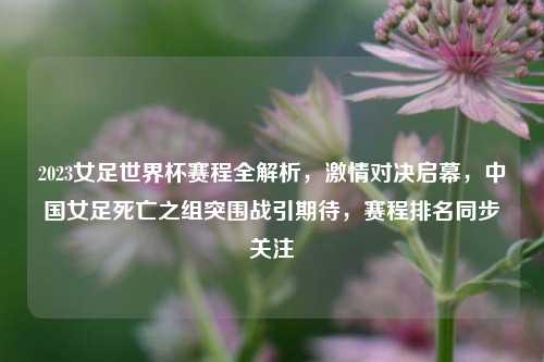 2023女足世界杯赛程全解析, 对决启幕,中国女足死亡之组突围战引期待,赛程排名同步关注