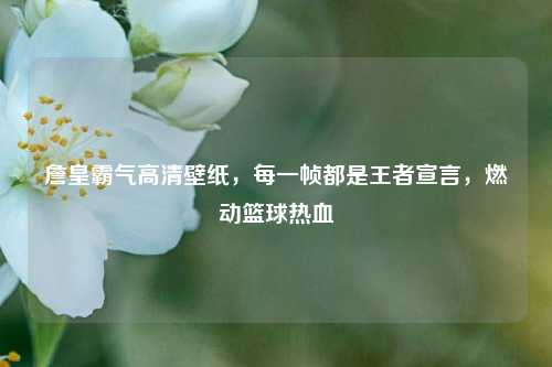 詹皇霸气高清壁纸,每一帧都是王者宣言,燃动篮球热血