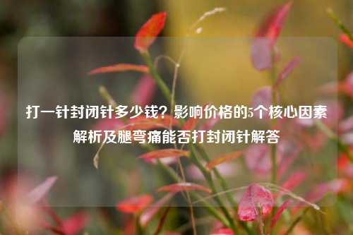打一针封闭针多少钱?影响价格的5个核心因素解析及腿弯痛能否打封闭针解答