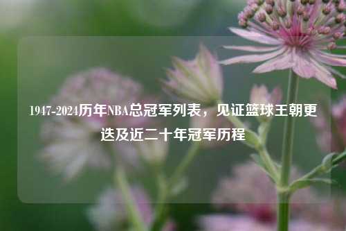 1947-2024历年NBA总冠军列表,见证篮球王朝更迭及近二十年冠军历程