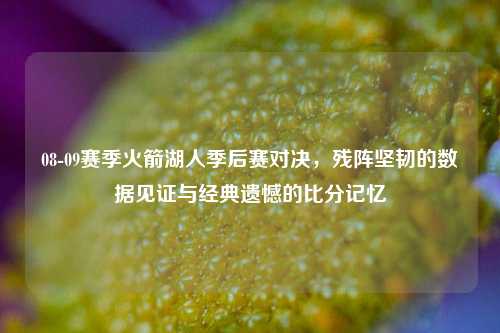 08-09赛季火箭湖人季后赛对决,残阵坚韧的数据见证与经典遗憾的比分记忆
