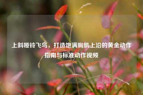 上斜哑铃飞鸟,打造饱满胸肌上沿的黄金动作指南与标准动作视频