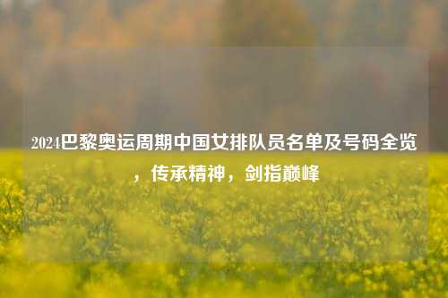 2024巴黎奥运周期中国女排队员名单及号码全览,传承精神,剑指巅峰