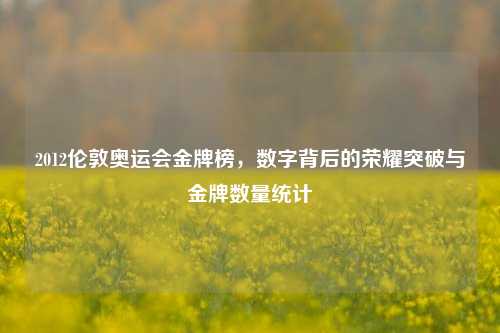 2012伦敦奥运会金牌榜,数字背后的荣耀突破与金牌数量统计