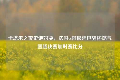 卡塔尔之夜史诗对决,法国vs阿根廷世界杯荡气回肠决赛加时赛比分