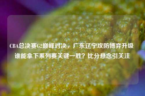 CBA总决赛G2巅峰对决,广东辽宁攻防博弈升级 谁能拿下系列赛关键一胜?比分悬念引关注