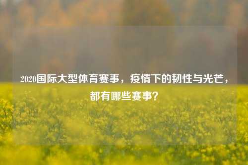 2020国际大型体育赛事,疫情下的韧性与光芒,都有哪些赛事?