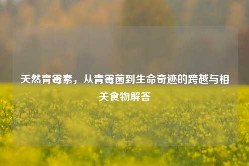 天然青霉素,从青霉菌到生命奇迹的跨越与相关食物解答