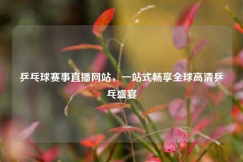 乒乓球赛事直播网站,一站式畅享全球高清乒乓盛宴