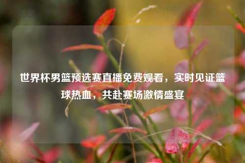 世界杯男篮预选赛直播免费观看,实时见证篮球热血,共赴赛场 盛宴
