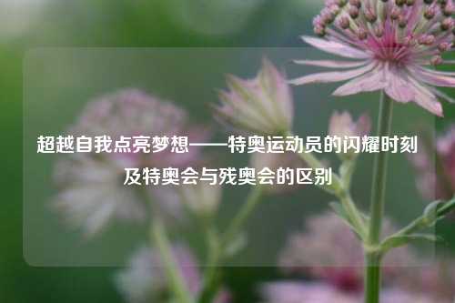 超越自我点亮梦想——特奥运动员的闪耀时刻及特奥会与残奥会的区别