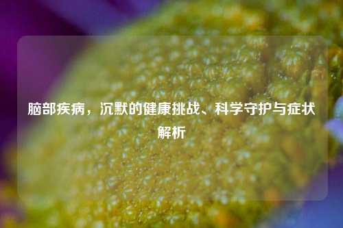 脑部疾病,沉默的健康挑战、科学守护与症状解析
