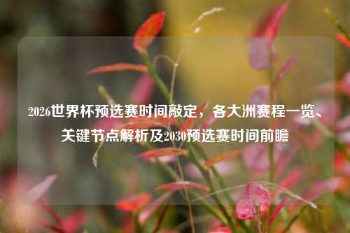 2026世界杯预选赛时间敲定,各大洲赛程一览、关键节点解析及2030预选赛时间前瞻