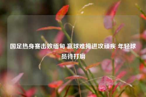 国足热身赛击败缅甸 赢球难掩进攻顽疾 年轻球员待打磨